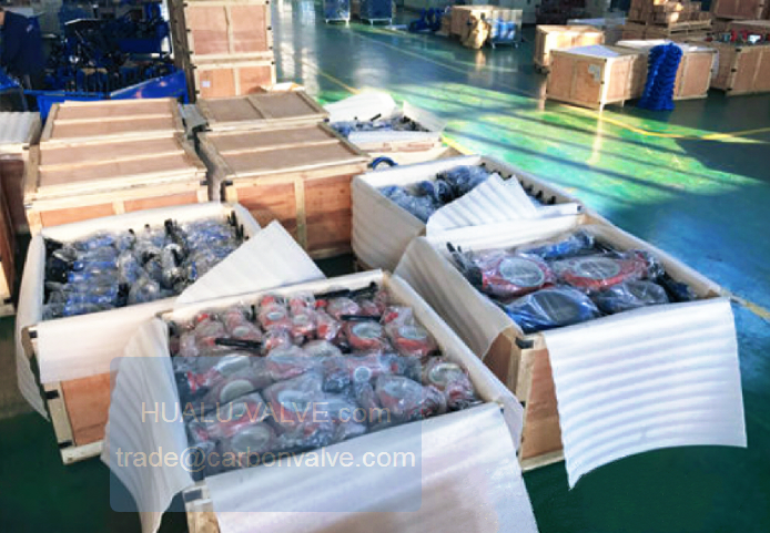 Photo1 Butterfly Valve