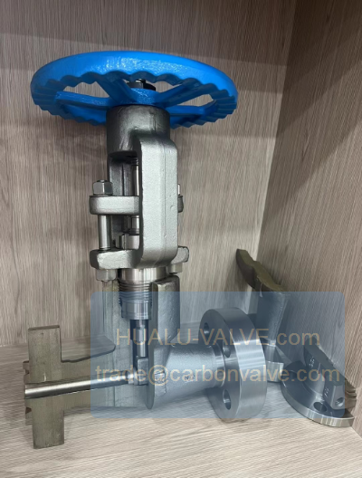Photo1 F304 stainless steel forged flange valve
