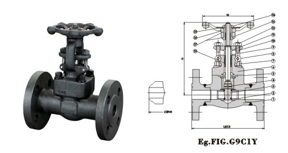 Flanged End Gate Valve 900Lb~1500Lb 
