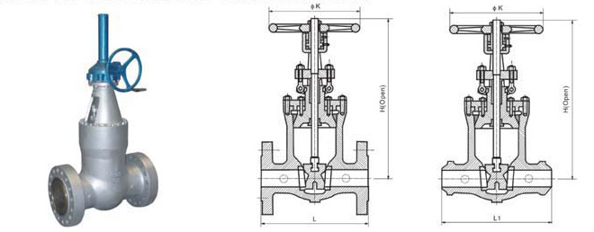 Class 600~2500 Pressure Seal Gate Valve 